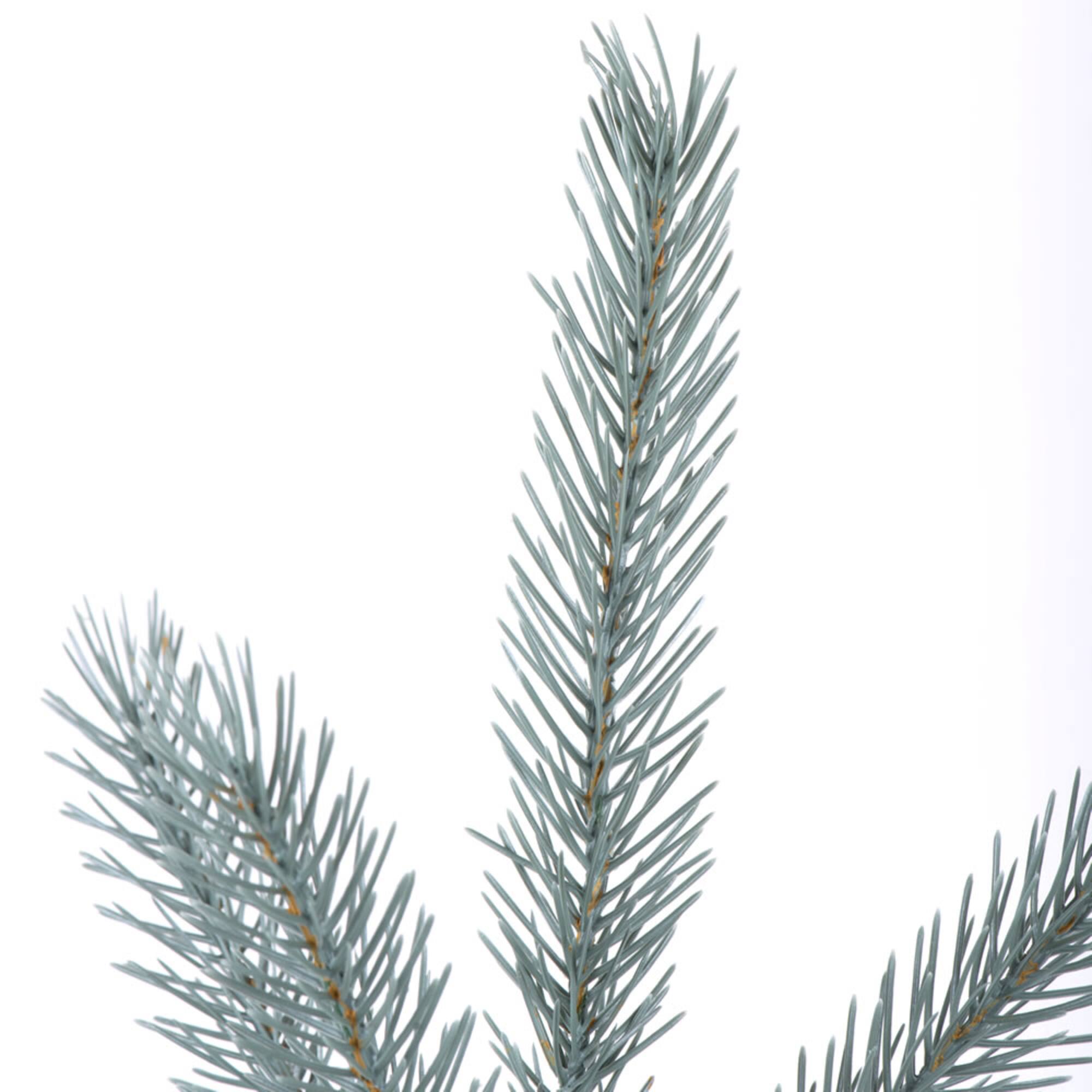 Blue Deluxe Spruce Picks Set